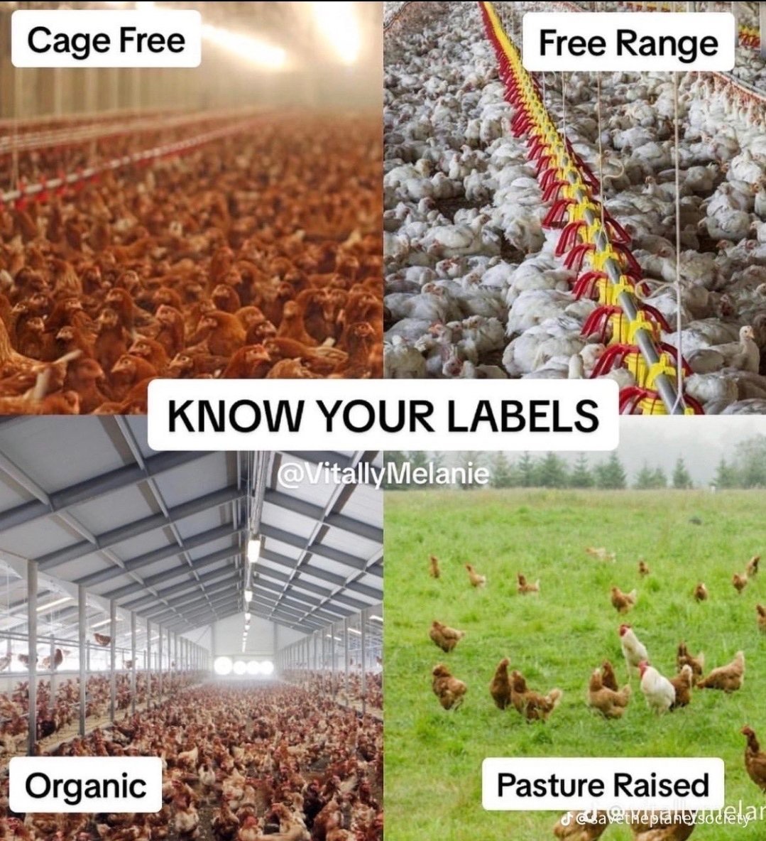 More countries prohibit egg washing than require it. 

The US requires egg washing because the chickens are often raised in squalor and getting feces on the eggs is unavoidable. 

The countries that do not wash eggs have much better hygiene and not washing the protective cuticle
