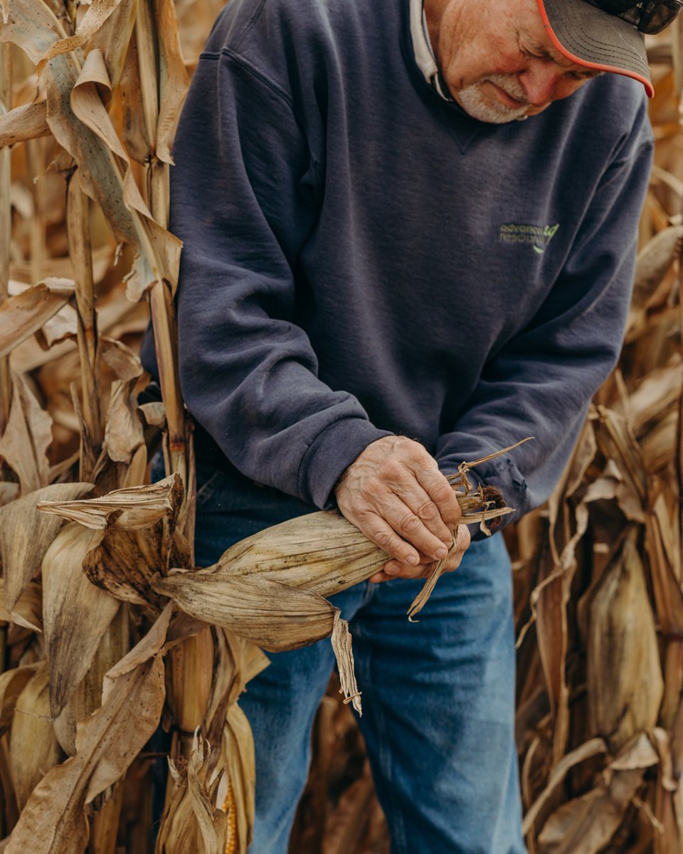 It's officially FALL 🌽 🍂  As we enter the season of #Harvest24, together, let's push through and ensure this year’s crops reach their fullest potential! 

Finish strong and celebrate the fruits of your labor. Reach out to our team or you local dealer with any #Harvest24