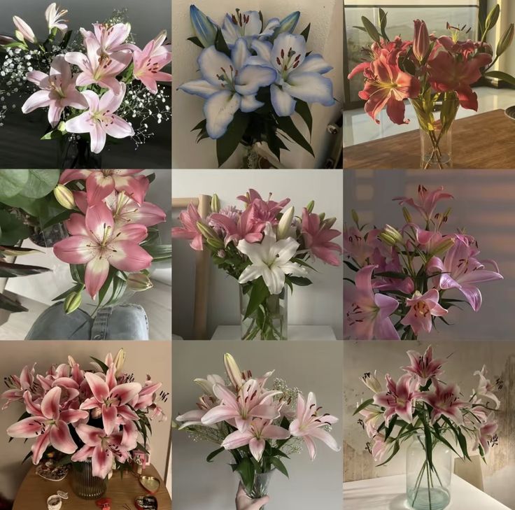 gal౨ৎ (@prtygal777) on Twitter photo 