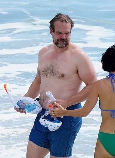 #davidharbour
