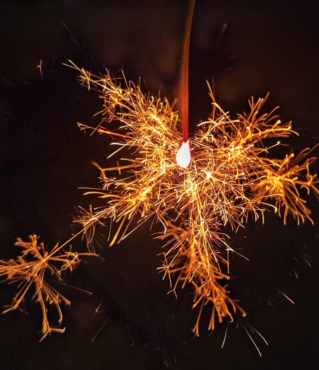 표코🐰🍀 tweet media