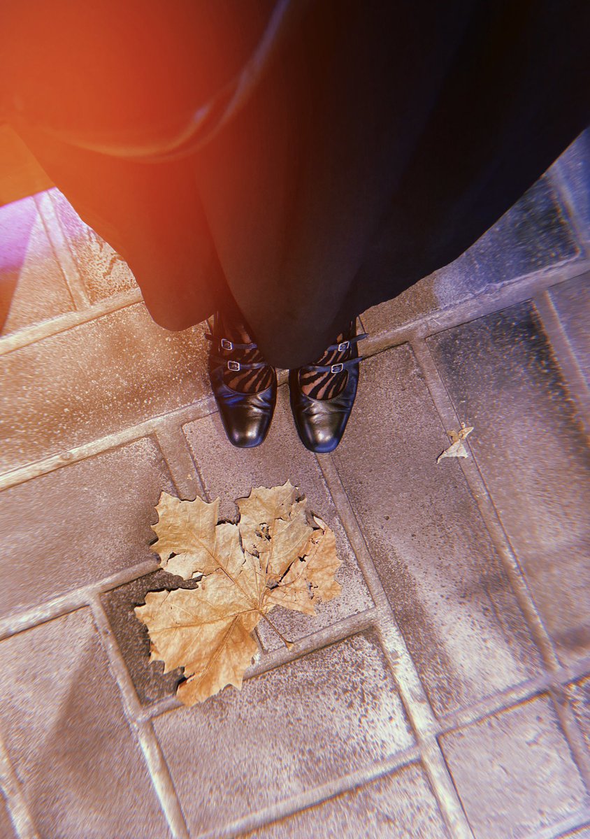 TEMARI🐺 tweet media