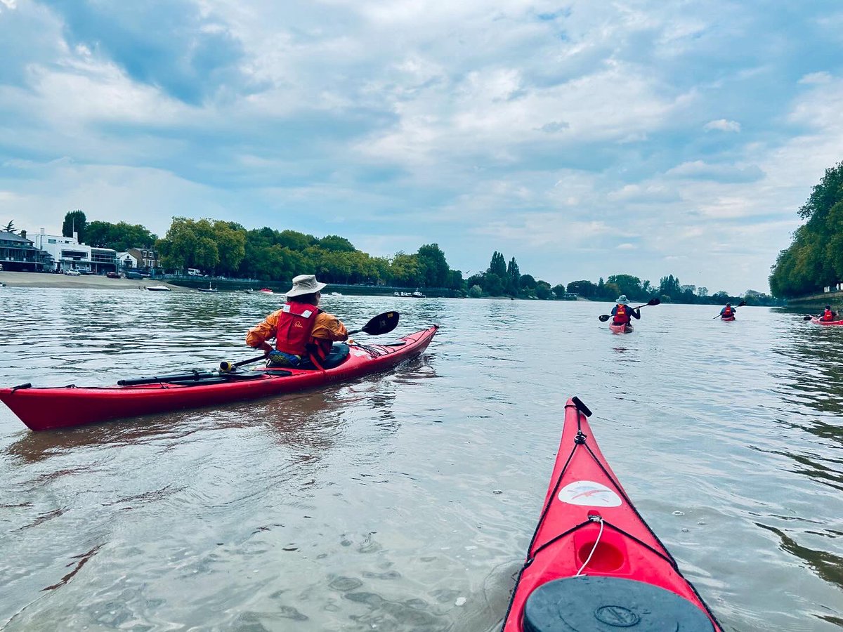 Chelsea Kayak Club tweet media