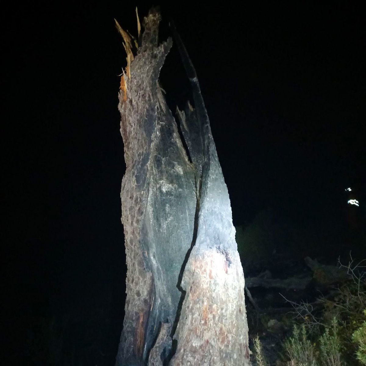 AM Región de Murcia (@aamm_murcia) on Twitter photo El rayo que ocasionó ayer sábado el incendio en #SierraSalinas #Yecla cayó el pasado jueves 19 (<a href="/AEMET_Murcia/">AEMET_Murcia</a>) y quemó lentamente el tronco 48 horas hasta contactar con vegetación fina y producir el conato.
Su intensidad arrancó la copa del árbol, desplazándola a 5m. El rayo que ocasionó ayer sábado el incendio en #SierraSalinas #Yecla cayó el pasado jueves 19 (<a href="/AEMET_Murcia/">AEMET_Murcia</a>) y quemó lentamente el tronco 48 horas hasta contactar con vegetación fina y producir el conato.
Su intensidad arrancó la copa del árbol, desplazándola a 5m.