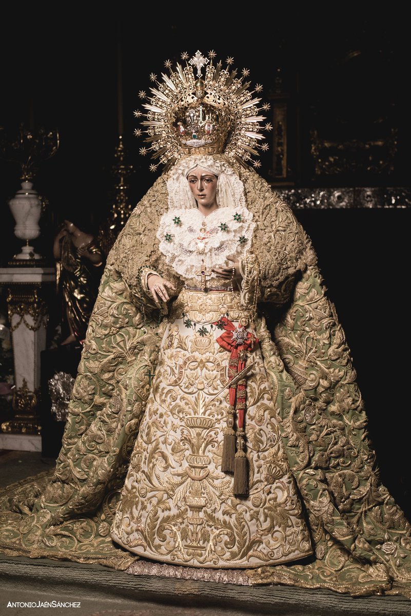 ImagineJaemmm's tweet photo. ROSA DE ORO https://t.co/QV5cuB1amj