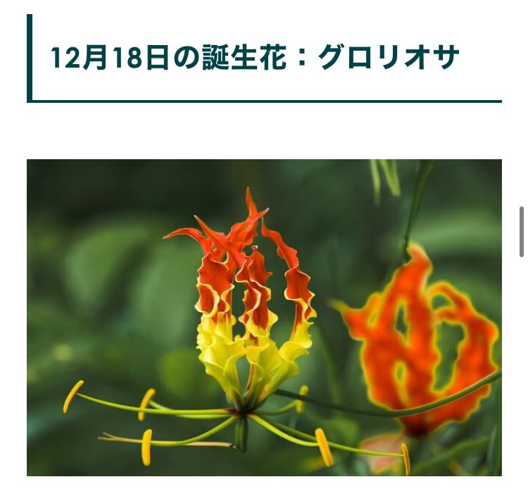 Shizuku_kaworU's tweet photo. たすけてー https://t.co/5wwZsF3yNf