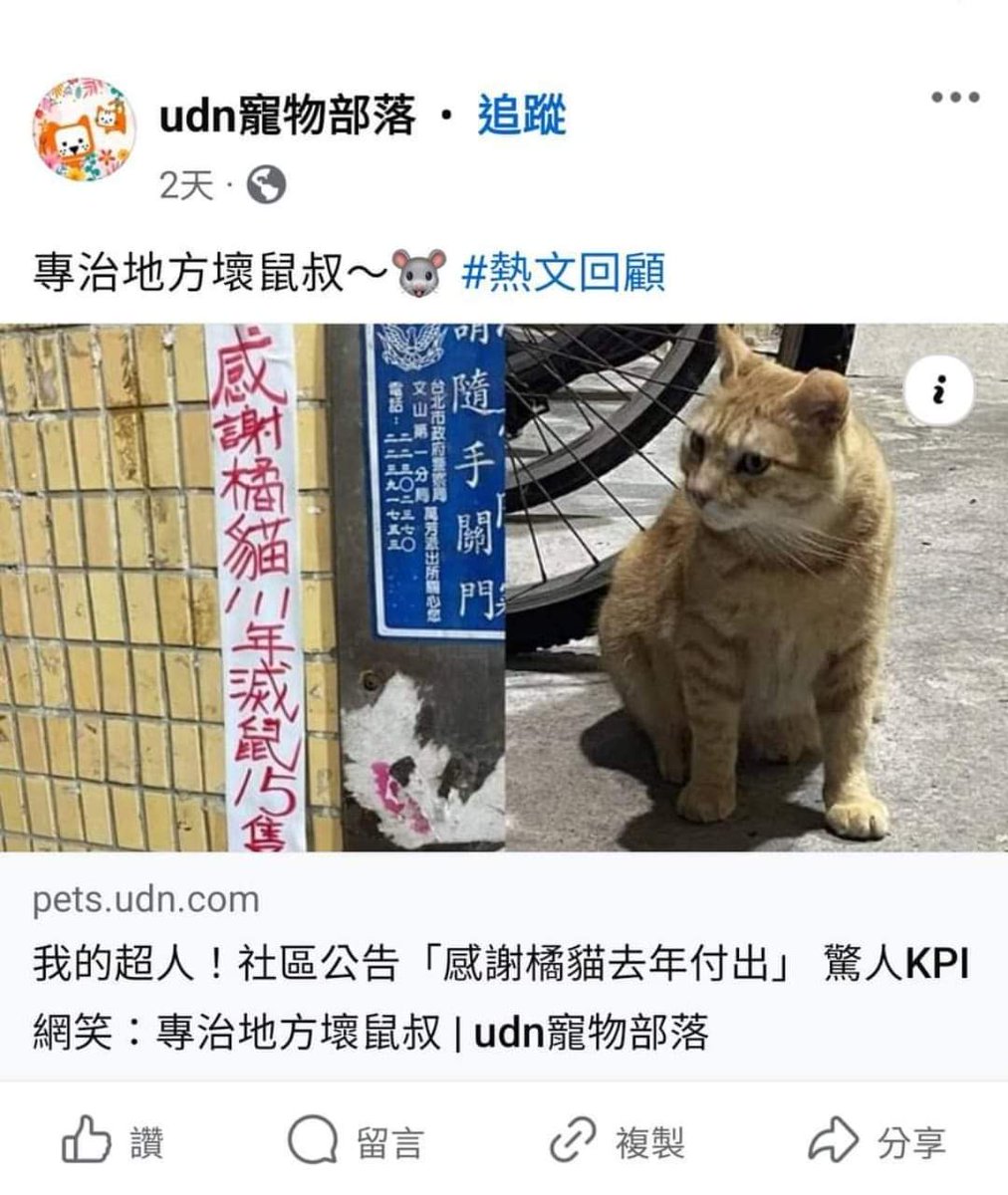 蟒龜Krieg tweet media