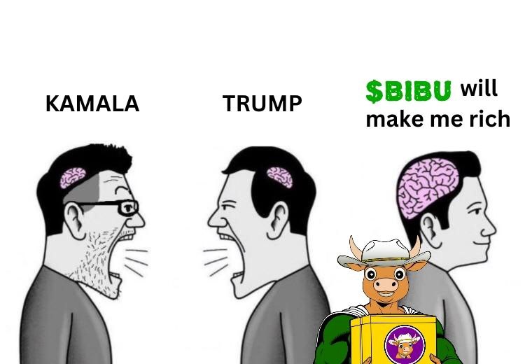 SilkNet Trading BIBU MAXI 🫵🤠 tweet media