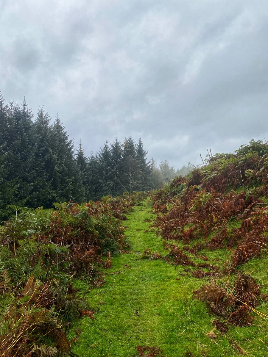 A stormy day above Ebbw Vale today