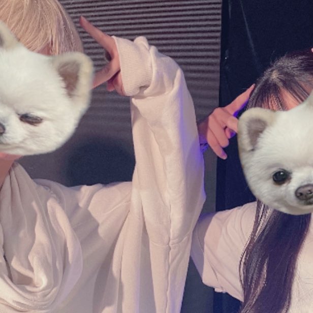 rrr_r0617's tweet photo. 初めて1人でヲタ活したグループだったから推しに会えるもあったけど、おどろあファンのみなさんと現場でわちゃわちゃするのも楽しかったなあ、みんな大好きだったなあ( 今も大好きだけど ߹ - ߹ )
みなさんの未来に幸が溢れますように(;_;)
@ODDLOREofficial
#ODDLORE https://t.co/ZaTjJcfwXM