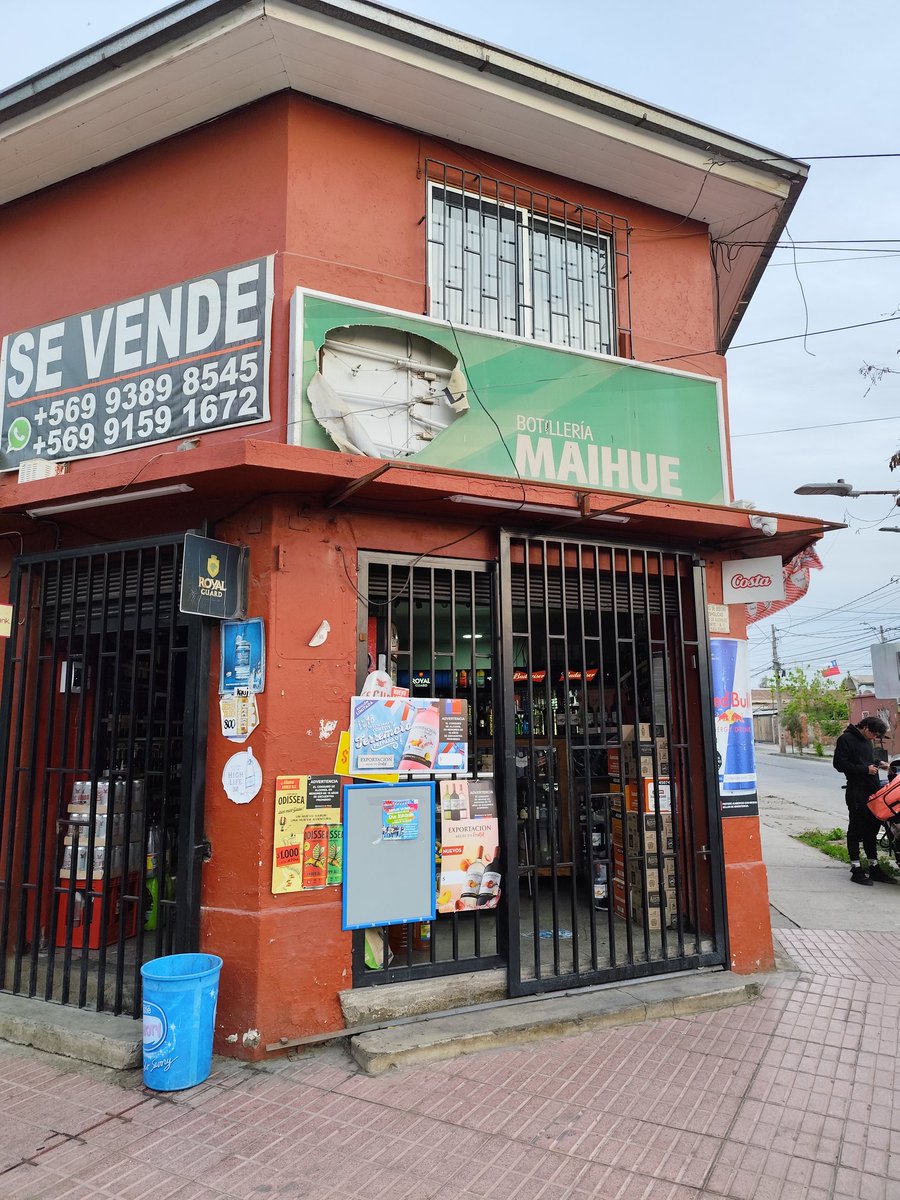 alpacino tweet media