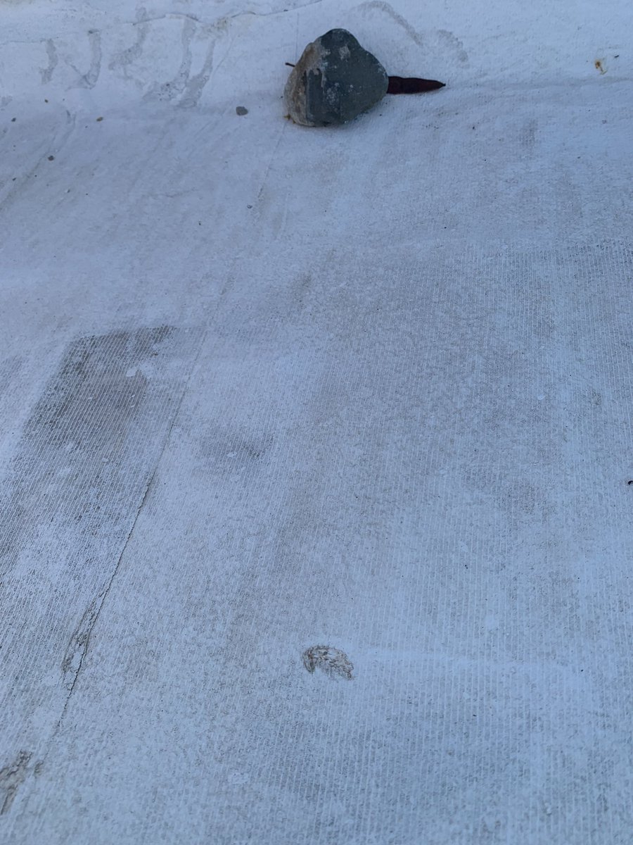 BelishaMar's tweet photo. Gracias @CoralClubes, X cooperar para resanar el muro d piedra d mi casa q se dañó X tus instalaciones,sería ideal me la entregaras en propia mano X la puerta d entrada en lugar d arrojarla al techo d mi casa a mitad d la noche.

@fedmexgolf
@AGVM1
@fernandolemmen
@luisblancofmg https://t.co/a4Xbfl8Yku