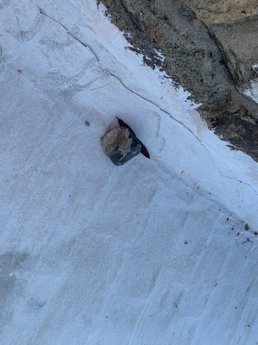 BelishaMar's tweet photo. Gracias @CoralClubes, X cooperar para resanar el muro d piedra d mi casa q se dañó X tus instalaciones,sería ideal me la entregaras en propia mano X la puerta d entrada en lugar d arrojarla al techo d mi casa a mitad d la noche.

@fedmexgolf
@AGVM1
@fernandolemmen
@luisblancofmg https://t.co/a4Xbfl8Yku