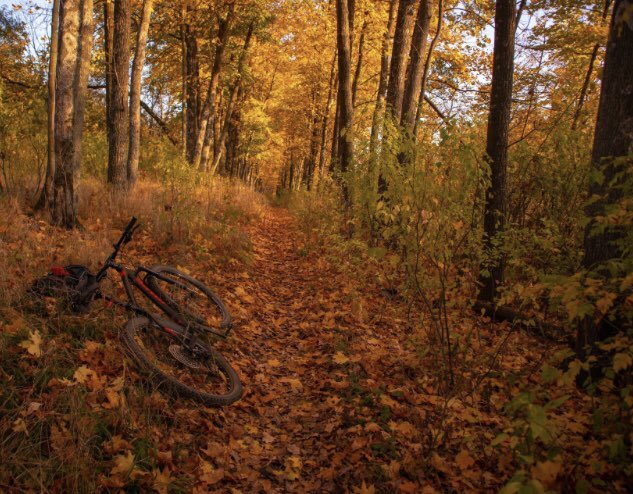 LAMPAPPLICATION's tweet image. Statistiquement nous entrons dans la période où il y’a le plus de vol de véhicules. Rejoignez la communauté, retrouvez votre véhicule, touchez les récompenses pour vos recherches.