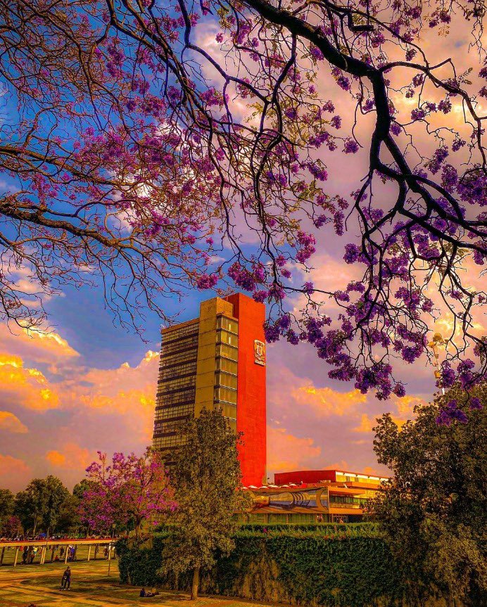 SECTUR_mx's tweet photo. #UnDíaComoHoy de 1910 la Universidad Nacional de México, hoy @UNAM_MX fue inaugurada como parte de los festejos del Centenario de la Independencia de #México. 🇲🇽

El campus central de la universidad es considerado Patrimonio Mundial de la @UNESCO 🏛️

¡Felices 114 años! 🥳 https://t.co/PuHDQfDrqx