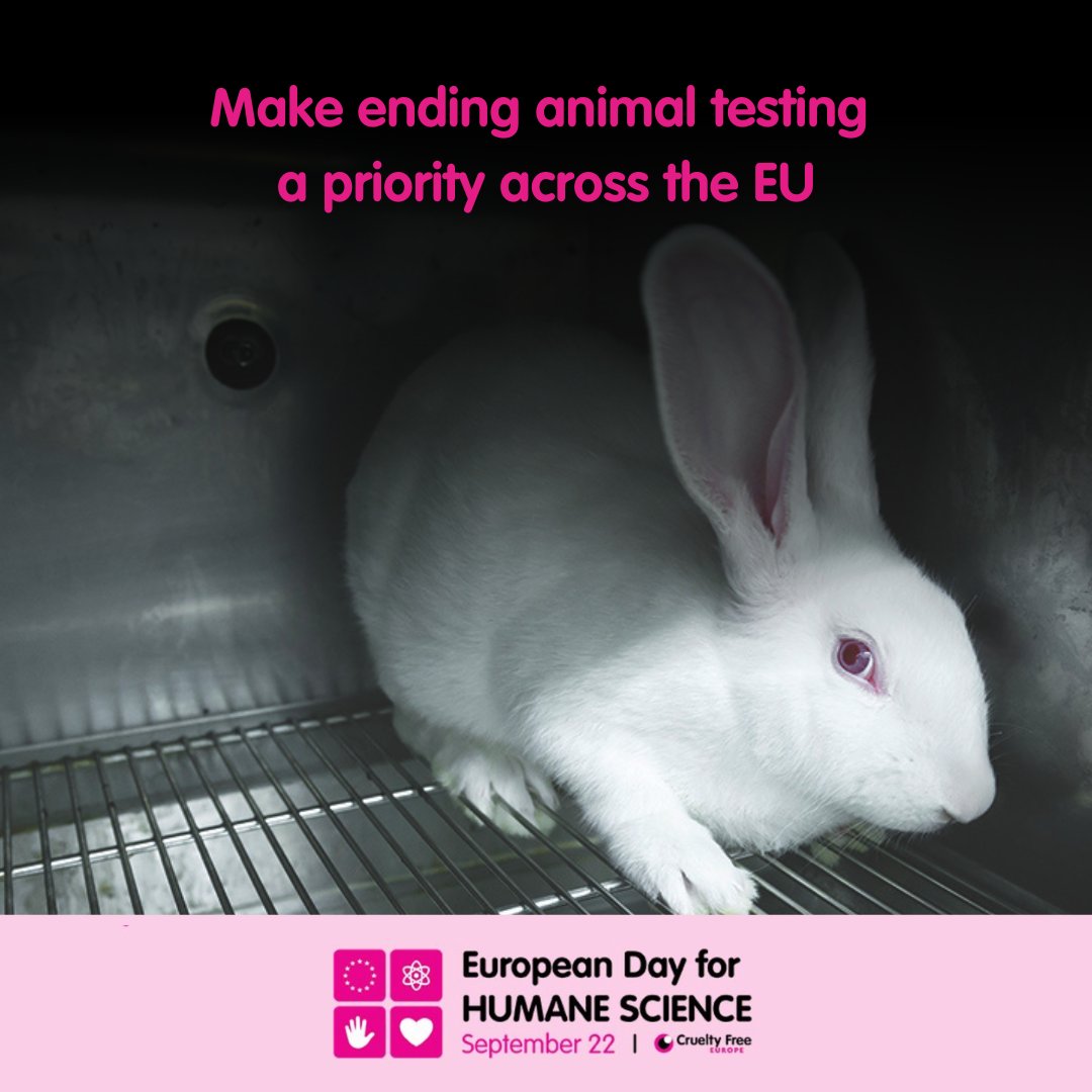 Cruelty Free Europe (@crueltyfreeeu) on Twitter photo On this #EuropeanDayforHumaneScience we are calling on <a href="/vonderleyen/">Ursula von der Leyen</a>, and her incoming College of Commissioners, to make ending animal testing a priority across the EU.
Read more and support a #CrueltyFreeEU: bit.ly/3A5KJIA On this #EuropeanDayforHumaneScience we are calling on <a href="/vonderleyen/">Ursula von der Leyen</a>, and her incoming College of Commissioners, to make ending animal testing a priority across the EU.
Read more and support a #CrueltyFreeEU: bit.ly/3A5KJIA
