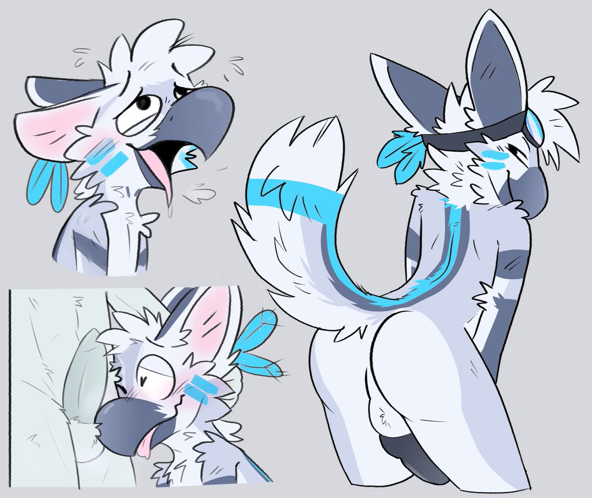 Zevoloz_'s tweet photo. Some birb doodles... 
(but xtra spicy~ 💦) https://t.co/QpadUimg6p