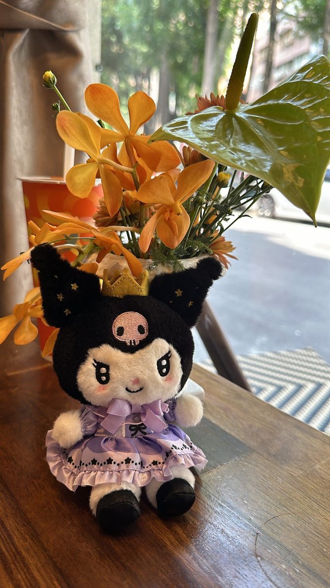 Eram183's tweet photo. 喜歡我的酷洛米 https://t.co/i6tQwe7JdE