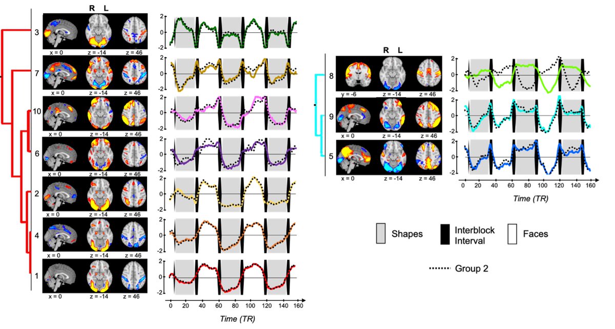 CKorponay's tweet image. We typically identify #task-recruited🧠regions by comparing avg🧠activation levels b/t task blocks (eg. faces v. shapes)
What🧠activity with complex temporal #dynamics might we be missing w/ this powerful but low temporal resolution approach?
biorxiv.org/content/10.110…
🧵