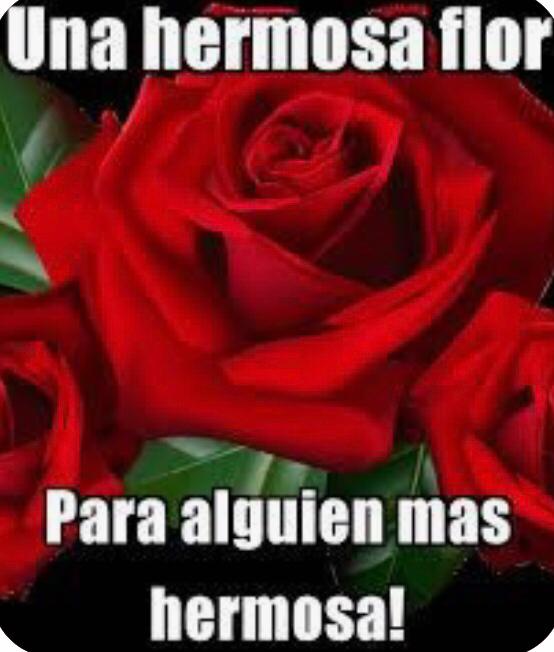 GalantonP tweet picture