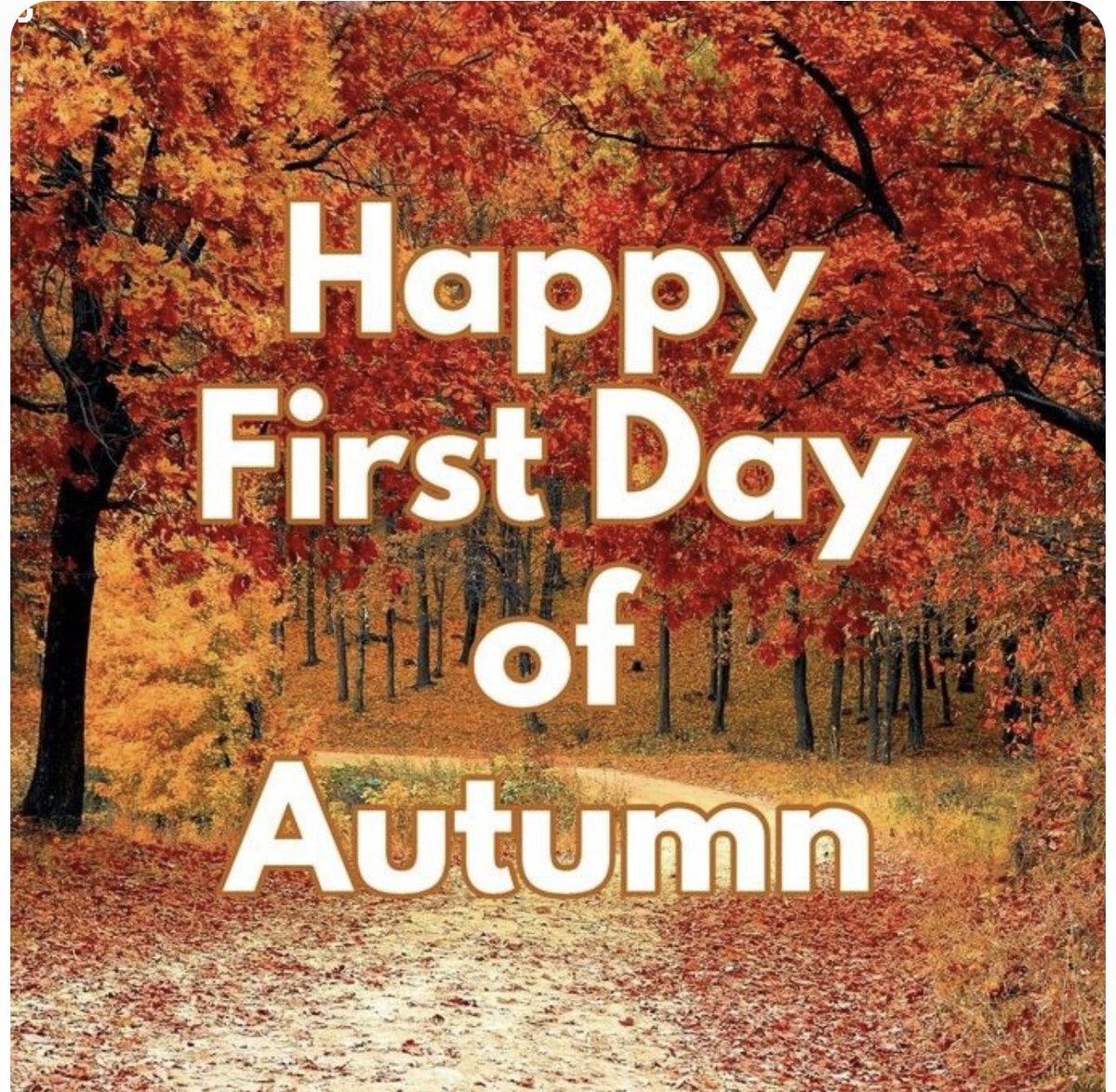 Happy First Day of Autumn Grizzlies 🍂<a href="/GEDSB/">Grand Erie District School Board</a> <a href="/DirectorGEDSB/">Dr. JoAnna Roberto, Ph.D.</a>