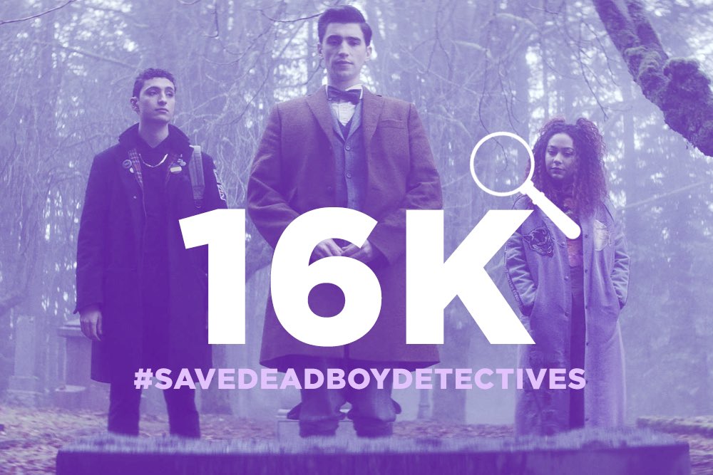 dbdagency's tweet photo. Petition has reached 16k! 💜 Great work everyone! Thank you to everyone who has shared and signed so far! Keep shouting;

#SaveDeadBoyDetectives 
#DeadBoyDetectives https://t.co/id4Lm0WNnU