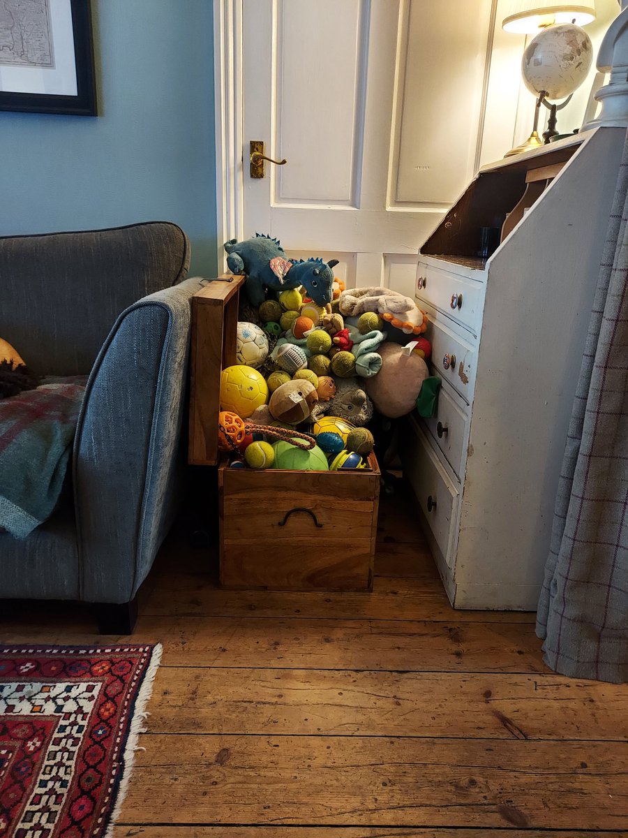 Hayley Merchant tweet media