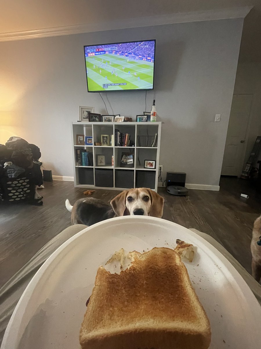 Seth Caylor tweet media