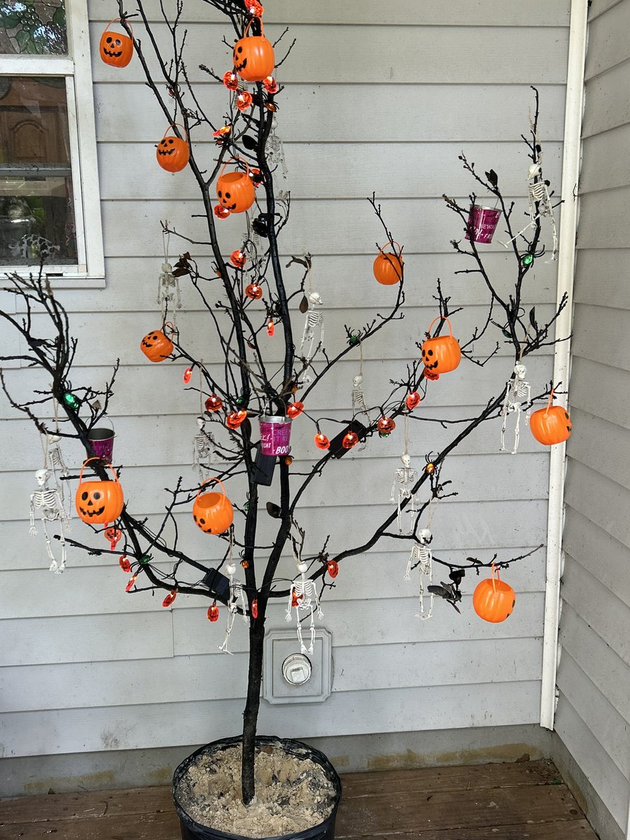 Ken Suarez tweet media