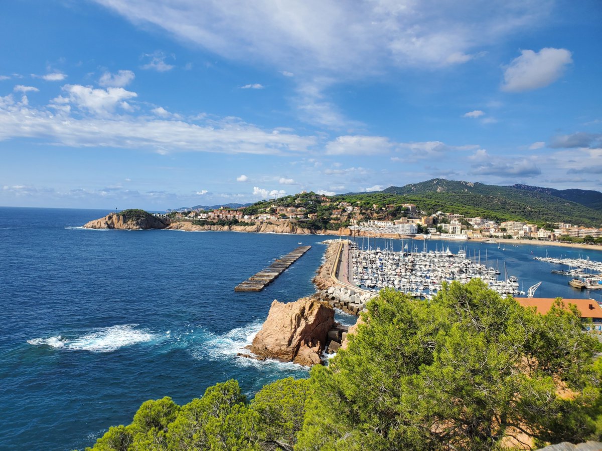 Sonyalogy's tweet image. Is #BacNet2024 the greatest microbiology conference? I'll let the pictures speak for themselves. Thank you to everyone who made it special!