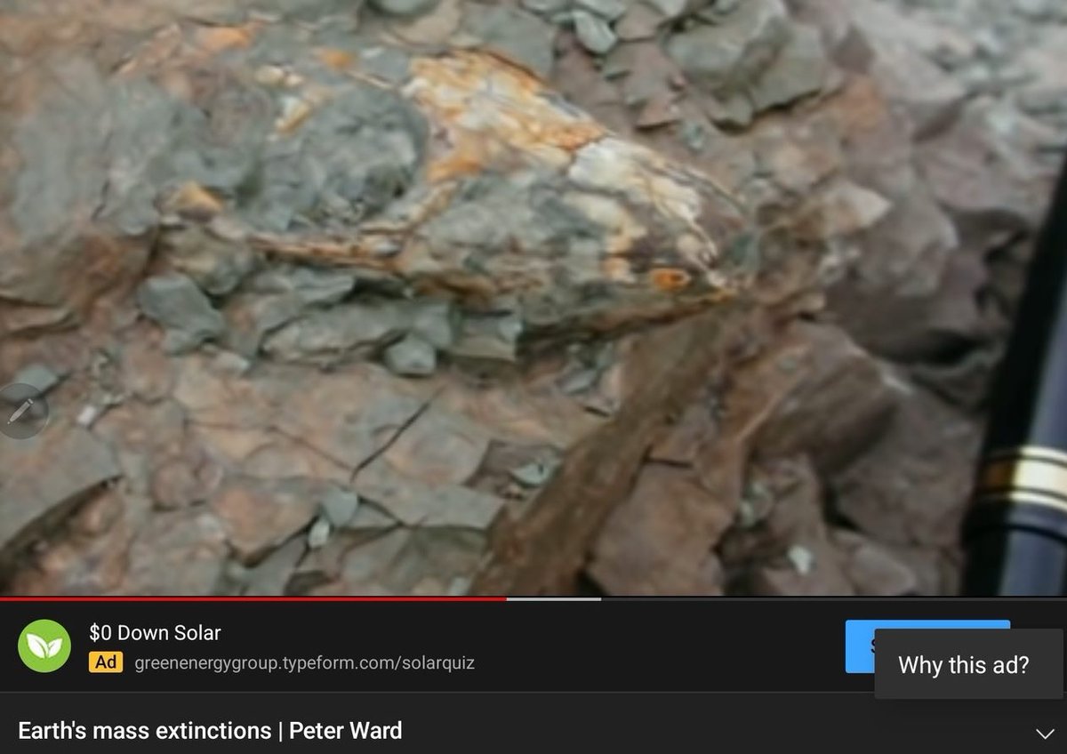 tmallard's tweet photo. Duh, rate-of-change of CO2 matters NOT it's absolute value
We live on a 71% saltwater planet where excess CO2 beyond #rock_erosion's trivial buffering converts to #carbonic_acid at the #AirSeaInterface, reversible: CO2+CO3₌+H2O⇄2 HCO3-
#OceanAcidification worse than both the #ASTEROID hit 256My ago & the #PETM, we're dissolving plankton 10-times faster than PETM's flood_basalts did, Feely
This raised freezeup temps above-2C prevents conducting air's COLD to ArcticBasin seabed methane clathrate deposits now thawing, pprs:
Chernykh+deposits:2023,https://t.co/pndmXFyM4X
Bukhanov+bubbles:2020,https://t.co/uk92ugGR4m
So, basically we're experiencing a worse #extinction where NO #mammals will make it through what we've already done
Only 1 species of a tiny burrower did 256My ago, eye socket and pen for scale the solitary family we all evolved from
I'm to whatever ... 🛌💤
Good luck !
⛏️
https://t.co/l8Xwl14mKW 4-teams
#IndustrialDesign🗜#Archeology
#Geophysics #Oceanography
#Paleontology #Astronautics
Feely 10× faster: https://t.co/IrCtubm9hp
Zeebe PETM model: https://t.co/ifsPhXDc9w
Ward paleo events: https://t.co/Ln5c06TgnE
Wing paleo life: https://t.co/hi1Rf0iMPE
Wing high CO2: https://t.co/d6kkmjaDKH
•~
• Seabed temp profiles show depths well above-2C thawing top down evidence of runaway greenhousing
• Studies showing worse acidity 300My ago than the PETM, https://t.co/V1T6Wpvmcr
• Most extinctions are caused by cesspool oceans emitting hydrogen_sulfide we die above 200ppm, Ward