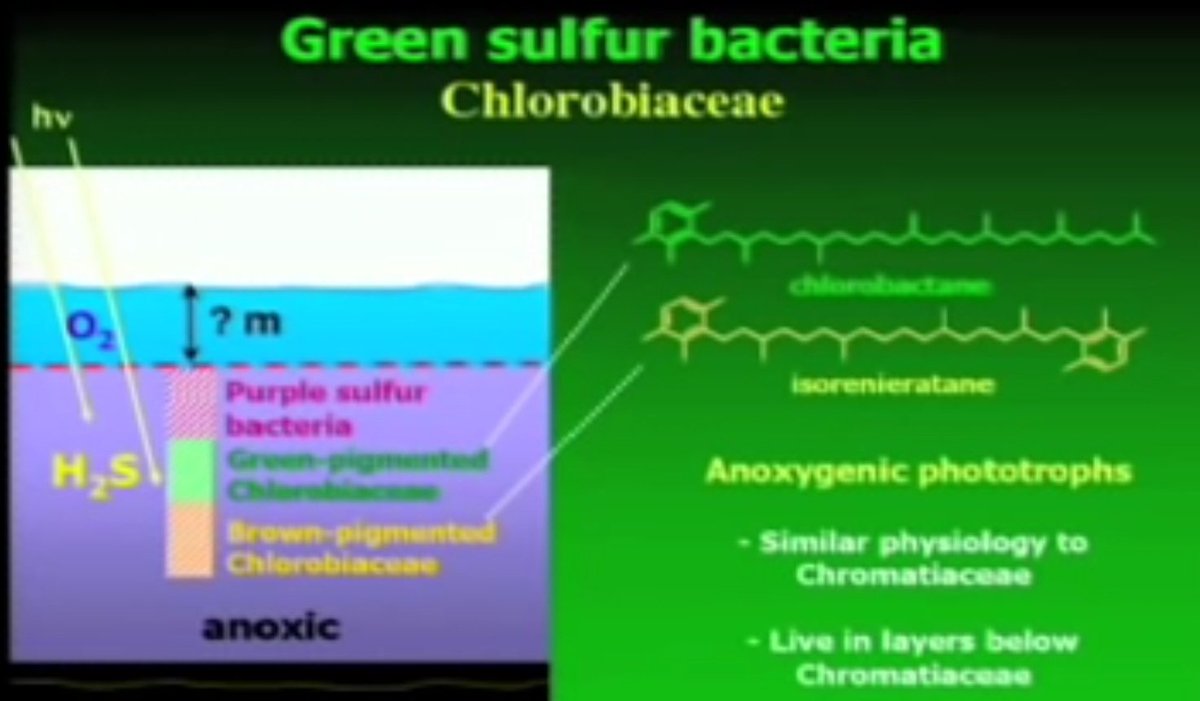 tmallard's tweet photo. Duh, rate-of-change of CO2 matters NOT it's absolute value
We live on a 71% saltwater planet where excess CO2 beyond #rock_erosion's trivial buffering converts to #carbonic_acid at the #AirSeaInterface, reversible: CO2+CO3₌+H2O⇄2 HCO3-
#OceanAcidification worse than both the #ASTEROID hit 256My ago & the #PETM, we're dissolving plankton 10-times faster than PETM's flood_basalts did, Feely
This raised freezeup temps above-2C prevents conducting air's COLD to ArcticBasin seabed methane clathrate deposits now thawing, pprs:
Chernykh+deposits:2023,https://t.co/pndmXFyM4X
Bukhanov+bubbles:2020,https://t.co/uk92ugGR4m
So, basically we're experiencing a worse #extinction where NO #mammals will make it through what we've already done
Only 1 species of a tiny burrower did 256My ago, eye socket and pen for scale the solitary family we all evolved from
I'm to whatever ... 🛌💤
Good luck !
⛏️
https://t.co/l8Xwl14mKW 4-teams
#IndustrialDesign🗜#Archeology
#Geophysics #Oceanography
#Paleontology #Astronautics
Feely 10× faster: https://t.co/IrCtubm9hp
Zeebe PETM model: https://t.co/ifsPhXDc9w
Ward paleo events: https://t.co/Ln5c06TgnE
Wing paleo life: https://t.co/hi1Rf0iMPE
Wing high CO2: https://t.co/d6kkmjaDKH
•~
• Seabed temp profiles show depths well above-2C thawing top down evidence of runaway greenhousing
• Studies showing worse acidity 300My ago than the PETM, https://t.co/V1T6Wpvmcr
• Most extinctions are caused by cesspool oceans emitting hydrogen_sulfide we die above 200ppm, Ward