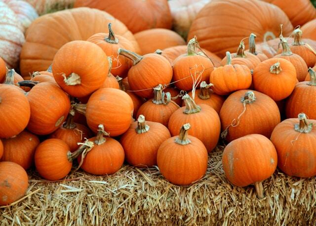 GBCautism's tweet photo. Happy #FirstDayOfFall! Can you smell the pumpkin spice and apple pies already?! 😊 https://t.co/DCfkW9sdDP