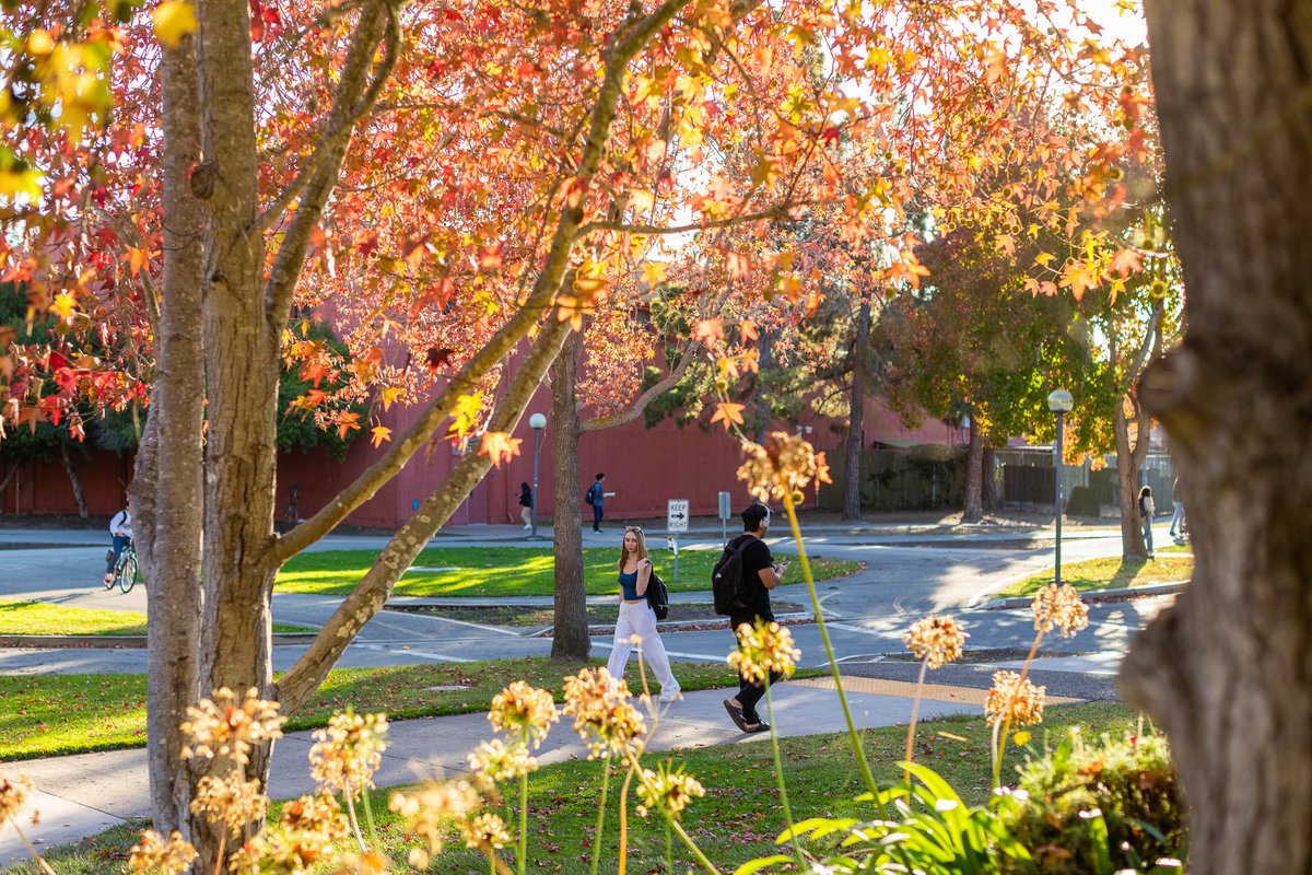 ucsantabarbara's tweet photo. Fall is here! 🍂😍
(It will be hot all quarter and the leaves won’t change color until December.)
#UCSB #UCSantaBarbara #Fall #FallQuarter https://t.co/mifRtalNRH