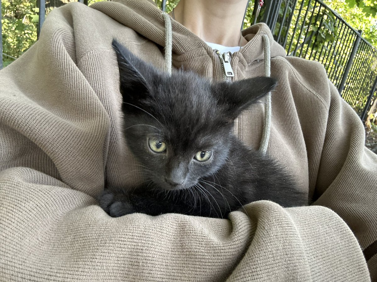 Marin ˚˖𓍢ִ🍓. ܁ tweet media