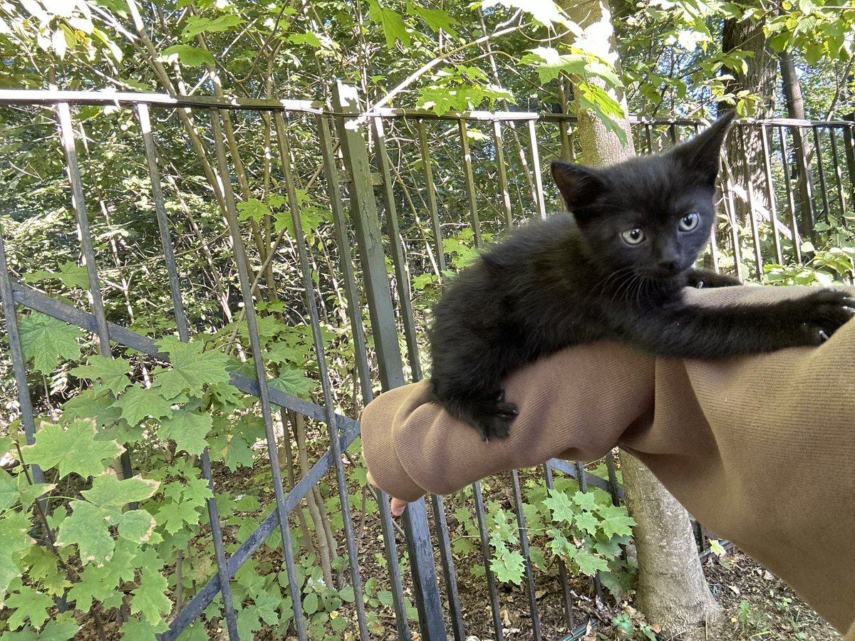 Marin ˚˖𓍢ִ🍓. ܁ tweet media