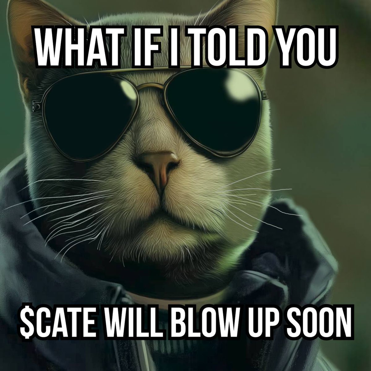 aliengalaxyeth's tweet photo. @kucoincom $CATE about to go BIG!
@cateonethereum https://t.co/xVue6cY8xf