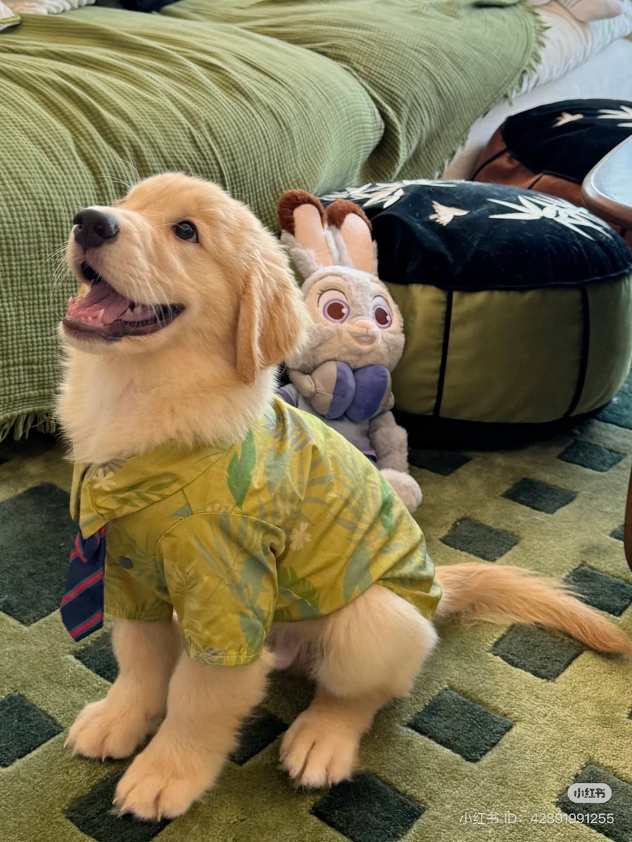 รีวิวจากเด้นเด้กค้าบ ;—;