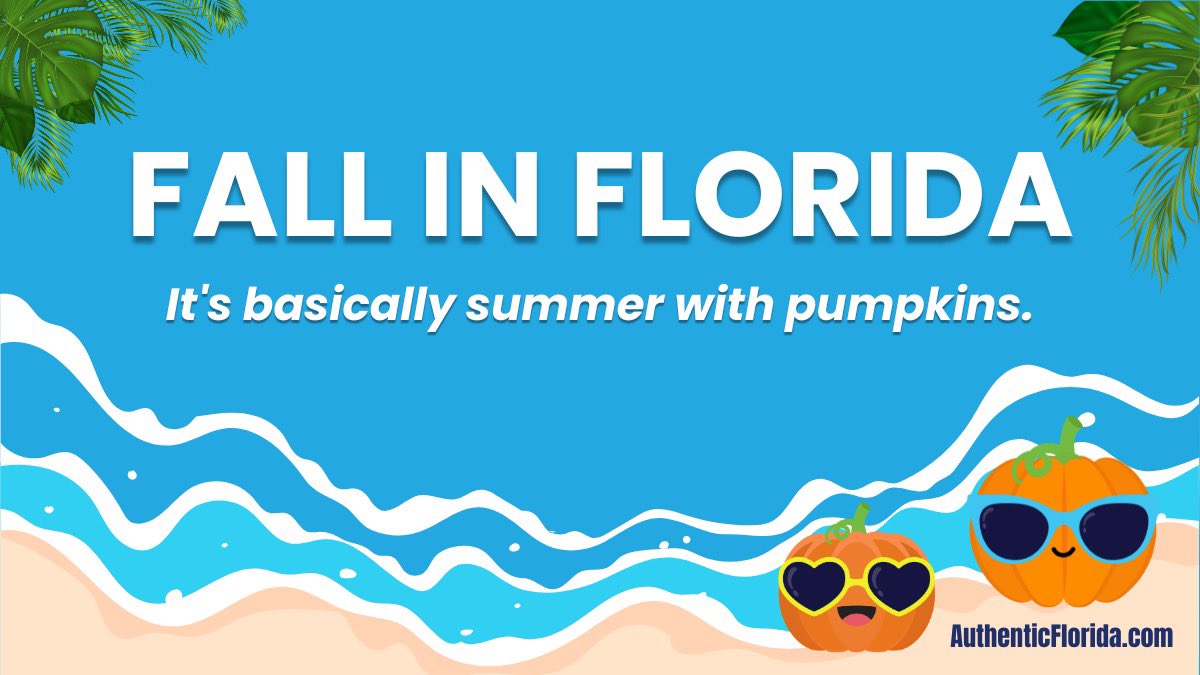 AuthenticFL's tweet photo. Happy 1st Day of Fall, #AuthenticFloridians. π
#Fall2024 #Florida #LoveAF https://t.co/eFdbJsy8yX