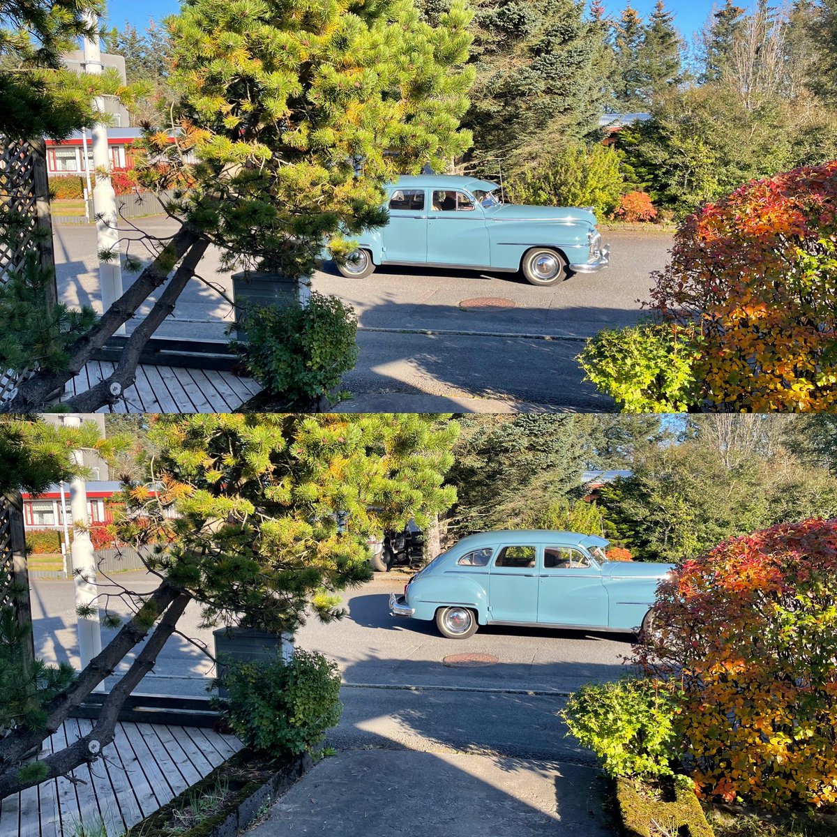 Drossía í sunnudagsbíltúr