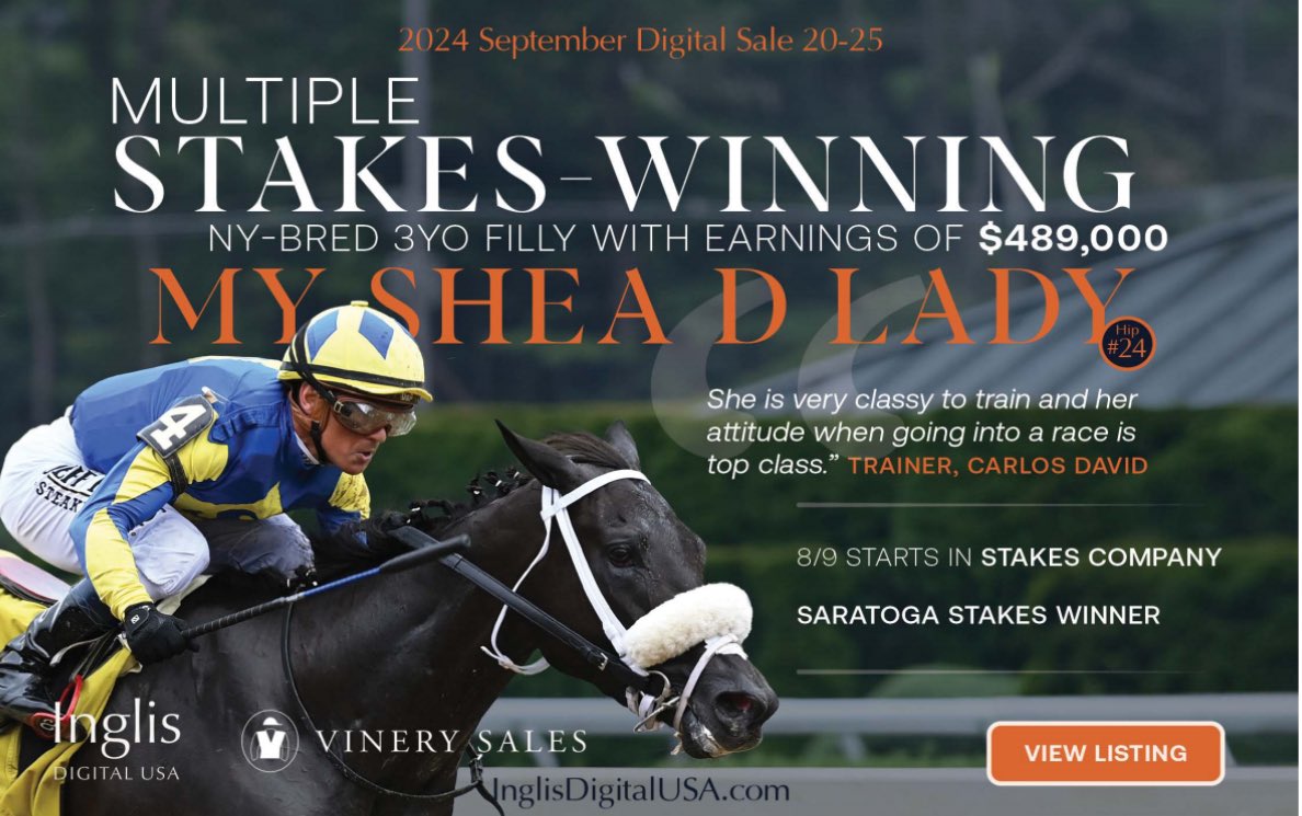 TDN (@thetdn) on Twitter photo Don’t miss MSW My Shea D Lady, Hip 24, in the <a href="/inglisdigitalus/">Inglis Digital USA</a> Sale!
Bid on your next trip to the Winners' Circle ➡️ inglisdigitalusa.com/catalogue/sing…
<a href="/vinerysales/">Vinery Sales</a> <a href="/SdbStable/">Shea D Boys Stable</a> Don’t miss MSW My Shea D Lady, Hip 24, in the <a href="/inglisdigitalus/">Inglis Digital USA</a> Sale!
Bid on your next trip to the Winners' Circle ➡️ inglisdigitalusa.com/catalogue/sing…
<a href="/vinerysales/">Vinery Sales</a> <a href="/SdbStable/">Shea D Boys Stable</a>