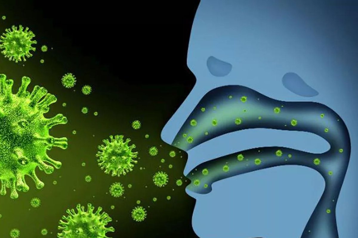 GuillemDoliu's tweet photo. La FDA aprueba la primera vacuna contra la gripe en aerosol nasal autoadministrada https://t.co/1zcgLFSSAK https://t.co/HSSjMSQFzN