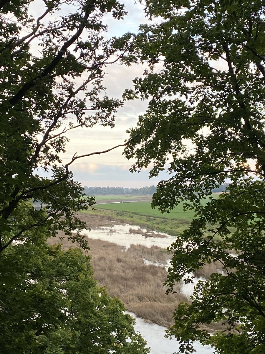 Mežotnes pilskalnā pirmo reizi uzvelk Zemgales karogu. Baltu vienības diena 2024