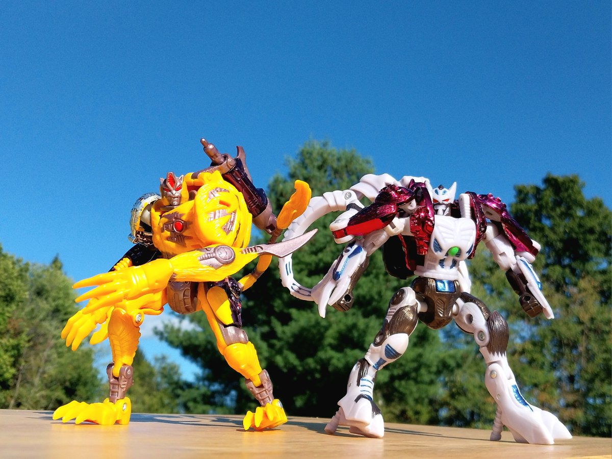 HintonPhotos's tweet photo. Ramulus and Cheetor

#ToyPhotography #ToyRobots #ToyswillbeToys #Transformers #Maccadam #BeastWars #natureliestheyrerobotsindisguise #TransMetal #TransMetal2 #Transformers40 #actionfigures #itsnotadollitsanactionfigure #plasticcrack https://t.co/Bq8RAyeT8i