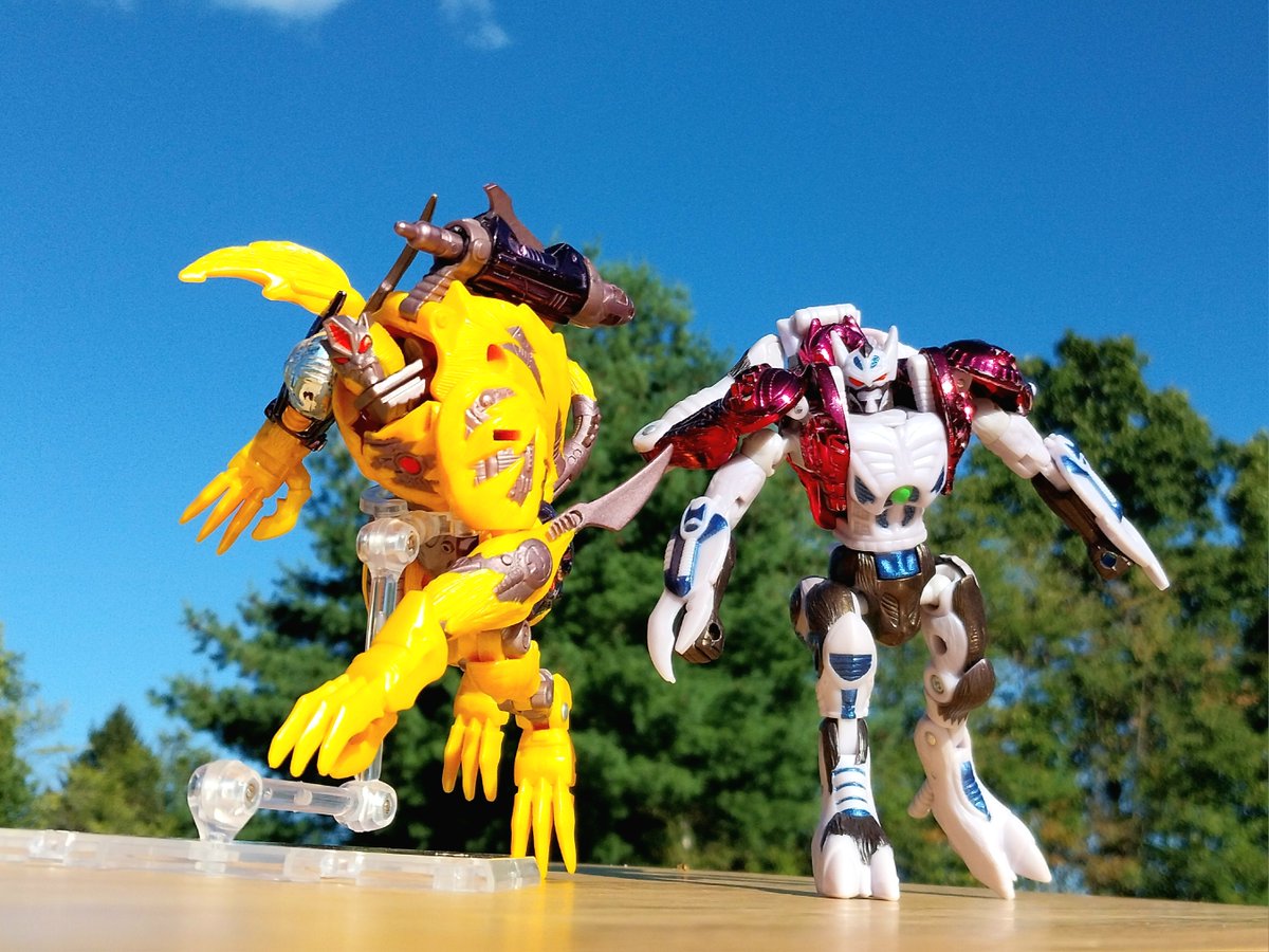 HintonPhotos's tweet photo. Ramulus and Cheetor

#ToyPhotography #ToyRobots #ToyswillbeToys #Transformers #Maccadam #BeastWars #natureliestheyrerobotsindisguise #TransMetal #TransMetal2 #Transformers40 #actionfigures #itsnotadollitsanactionfigure #plasticcrack https://t.co/Bq8RAyeT8i