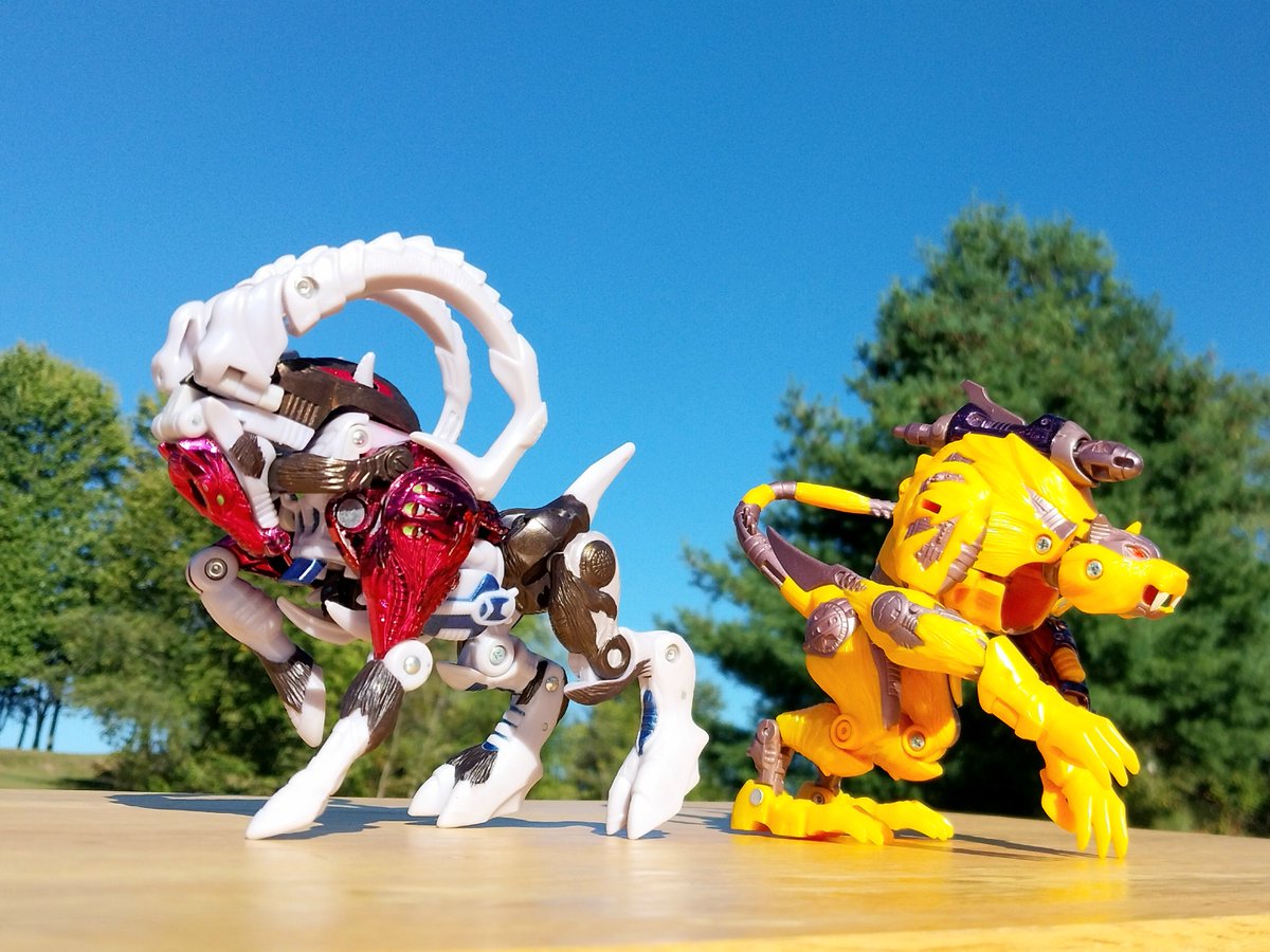 HintonPhotos's tweet photo. Ramulus and Cheetor

#ToyPhotography #ToyRobots #ToyswillbeToys #Transformers #Maccadam #BeastWars #natureliestheyrerobotsindisguise #TransMetal #TransMetal2 #Transformers40 #actionfigures #itsnotadollitsanactionfigure #plasticcrack https://t.co/Bq8RAyeT8i