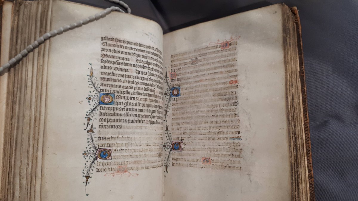 Hidden in Plain Sight tweet media