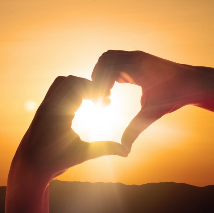 Railworld Wildlife Haven tweet media