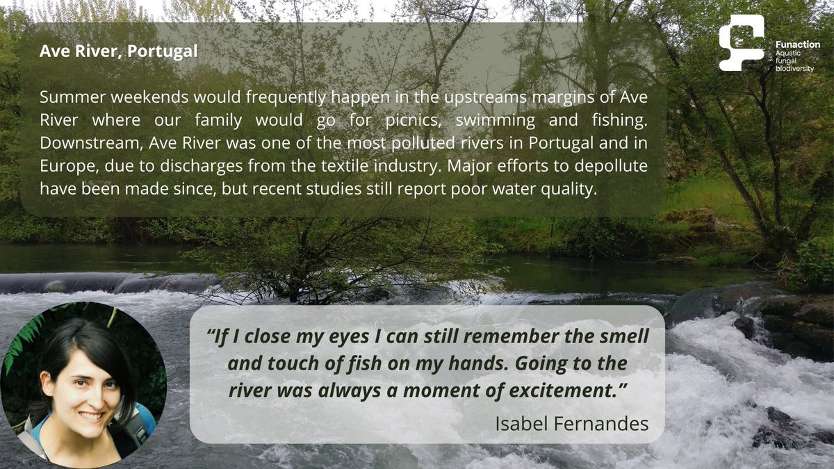 FUNACTION (@funaction_eu) on Twitter photo Happy #WorldRiversDay!
#FUNACTION member <a href="/IsabelRF84/">Isabel Fernandes🇺🇦</a> was inspired by the Ave River in Portugal.
Which #River inspires you? Tell us 👇
📷Isabel Fernandes Happy #WorldRiversDay!
#FUNACTION member <a href="/IsabelRF84/">Isabel Fernandes🇺🇦</a> was inspired by the Ave River in Portugal.
Which #River inspires you? Tell us 👇
📷Isabel Fernandes