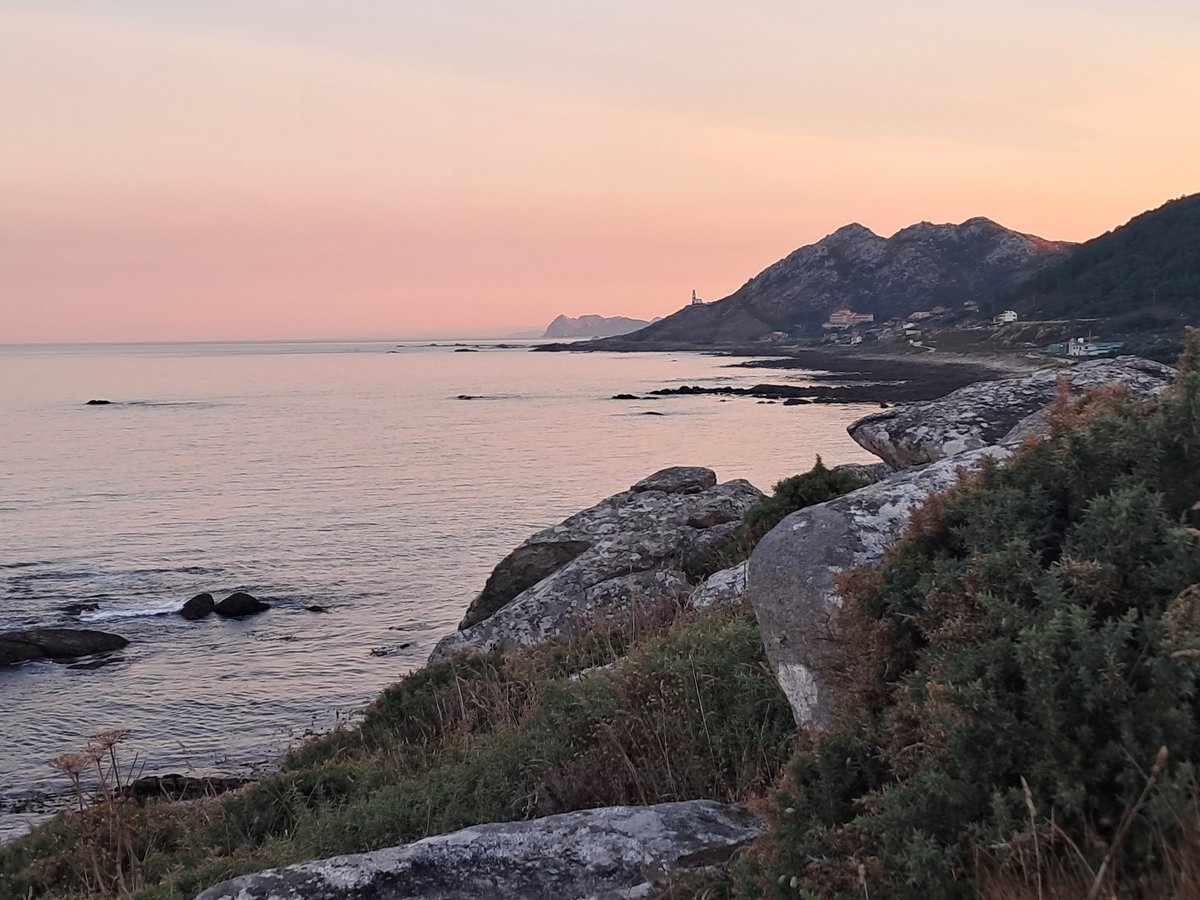 A couple of days ago, we got our 2nd Fea's type Petrel of the year from Punta Centinela! Nice bird to start the second half of September. Wind forecasts look promising for the coming days...